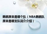 鹈鹕原来是哪个队（NBA鹈鹕队原来是哪支队简介介绍）