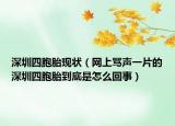 深圳四胞胎现状（网上骂声一片的深圳四胞胎到底是怎么回事）