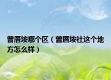曾厝垵哪个区（曾厝垵社这个地方怎么样）