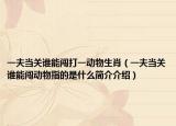 一夫当关谁能闯打一动物生肖（一夫当关谁能闯动物指的是什么简介介绍）
