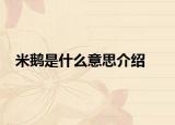 米鹅是什么意思介绍