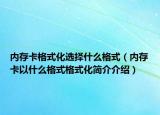 内存卡格式化选择什么格式（内存卡以什么格式格式化简介介绍）