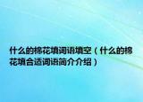 什么的棉花填词语填空（什么的棉花填合适词语简介介绍）