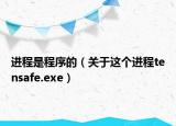 进程是程序的（关于这个进程tensafe.exe）