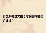 什么叫考试大纲（考纲是啥啊简介介绍）