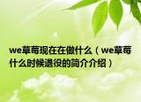 we草莓现在在做什么（we草莓什么时候退役的简介介绍）