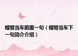 螳臂当车前面一句（螳臂当车下一句简介介绍）