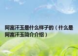 阿富汗玉是什么样子的（什么是阿富汗玉简介介绍）