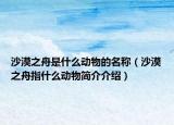 沙漠之舟是什么动物的名称（沙漠之舟指什么动物简介介绍）