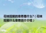 花枝招展的意思是什么?（花枝招展什么意思简介介绍）