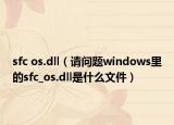 sfc os.dll（请问题windows里的sfc_os.dll是什么文件）
