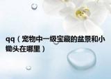 qq（宠物中一级宝藏的盆景和小锄头在哪里）
