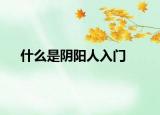 什么是阴阳人入门