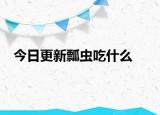 今日更新瓢虫吃什么