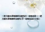 一把刀顺水漂有眼睛没眉毛打一动物名称（一把刀顺水漂有眼睛没眉毛 打一动物名简介介绍）