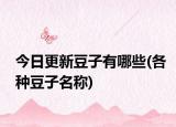今日更新豆子有哪些(各种豆子名称)