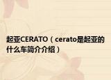 起亚CERATO（cerato是起亚的什么车简介介绍）