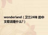 wonderland（卫兰24味 的中文歌词是什么?）