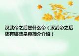 汉武帝之后是什么帝（汉武帝之后还有哪些皇帝简介介绍）