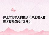 床上常见咬人的虫子（床上咬人的虫子有哪些简介介绍）