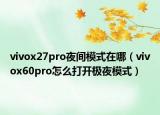 vivox27pro夜间模式在哪（vivox60pro怎么打开极夜模式）