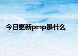 今日更新pmp是什么