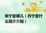 单宁是哪儿（丹宁是什么简介介绍）