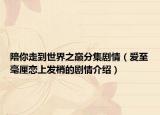 陪你走到世界之巅分集剧情（爱至毫厘恋上发梢的剧情介绍）