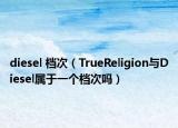diesel 档次（TrueReligion与Diesel属于一个档次吗）