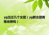 yg出过几个女团（yg新女团有陈依琳吗）
