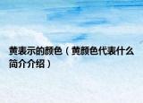 黄表示的颜色（黄颜色代表什么简介介绍）