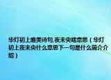 华灯初上唯美诗句,夜未央啥意思（华灯初上夜未央什么意思下一句是什么简介介绍）