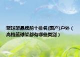 篮球架品牌前十排名(国产)户外（高档篮球架都有哪些类别）