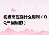 初级高压锅什么用啊（QQ三国里的）