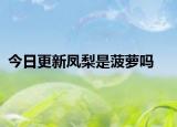 今日更新凤梨是菠萝吗