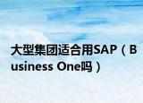 大型集团适合用SAP（Business One吗）