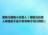 冒险岛宠物小白雪人（冒险岛白雪人骑宠是不是只有龙神才可以得到）