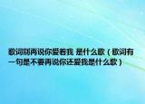 歌词别再说你爱着我 是什么歌（歌词有一句是不要再说你还爱我是什么歌）