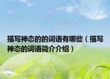 描写神态的的词语有哪些（描写神态的词语简介介绍）