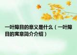 一叶障目的意义是什么（一叶障目的寓意简介介绍）