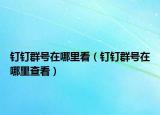 钉钉群号在哪里看（钉钉群号在哪里查看）