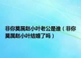 非你莫属赵小叶老公是谁（非你莫属赵小叶结婚了吗）