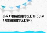 小米11隐藏应用怎么打开（小米11隐藏应用怎么打开）