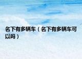 名下有多辆车（名下有多辆车可以吗）