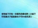 宠物猫下巴有一块黑色的像虫卵（小猫下巴有黑点子就是象虫子巴bb的东西）