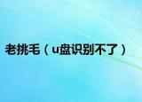 老挑毛（u盘识别不了）