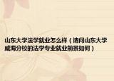 山东大学法学就业怎么样（请问山东大学威海分校的法学专业就业前景如何）