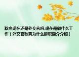 耿爽现在还是外交官吗,现在是做什么工作（外交官耿爽为什么辞职简介介绍）