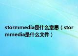 stormmedia是什么意思（stormmedia是什么文件）
