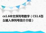 cs1.6中文序列号数字（CS1.6怎么输入序列号简介介绍）
